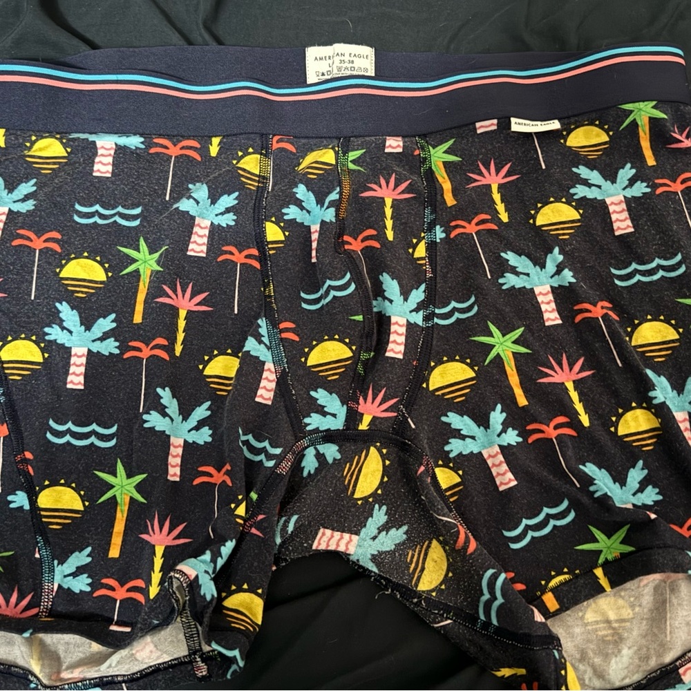American Eagle Men’s L Underwear